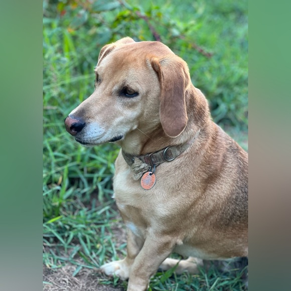 🙋🏻‍♀️Hi, I’m Katie!💕 - Picture 5 of 11